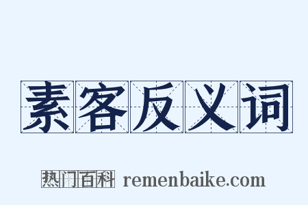 素客反义词是什么意思的图片